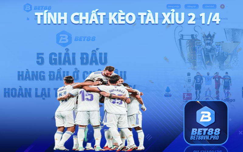 Tính Chất Kèo Tài Xỉu 2 1/4